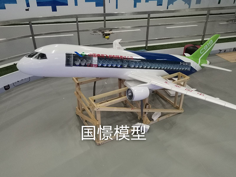 枞阳县飞机模型