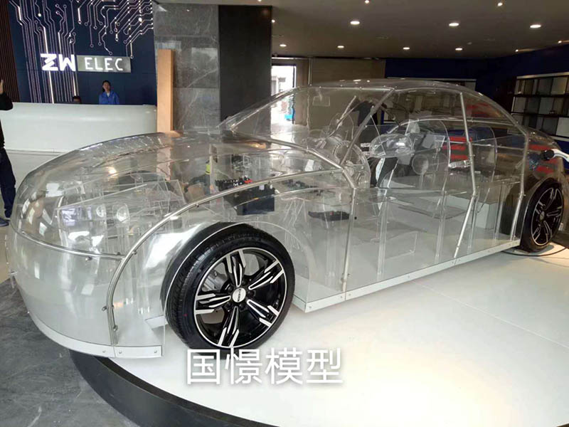 枞阳县透明车模型